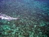 Noumea-01-06-09 044.jpg